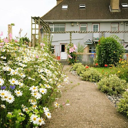 Eagle Heights Bed and Breakfast Enniscrone Buitenkant foto